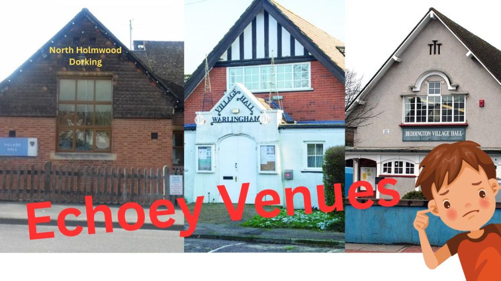 When booking a hall for a children's birthday party, check it is not echoey.